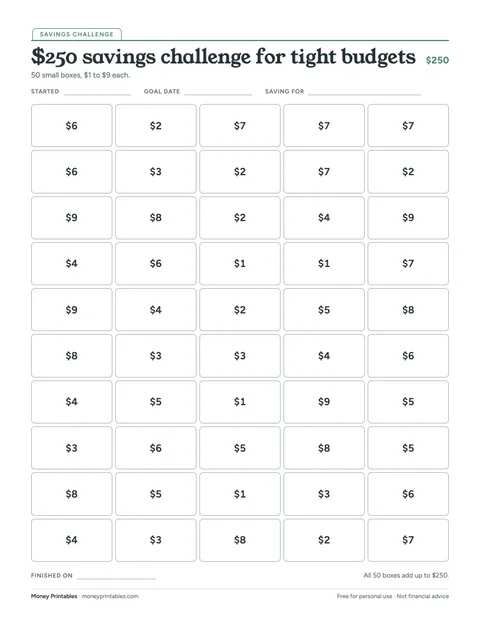 Preview of the $250 savings challenge for tight budgets printable